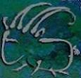 Capricorn